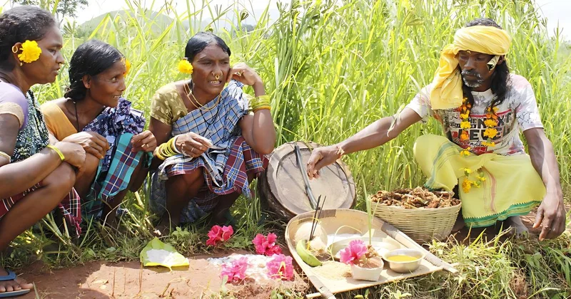 In photos: How festivals and rituals help Koraput’s Adivasis keep local seed varieties alive