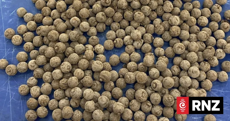 Twenty-four kilos of opium bound for Bay of Plenty intercepted by Customs