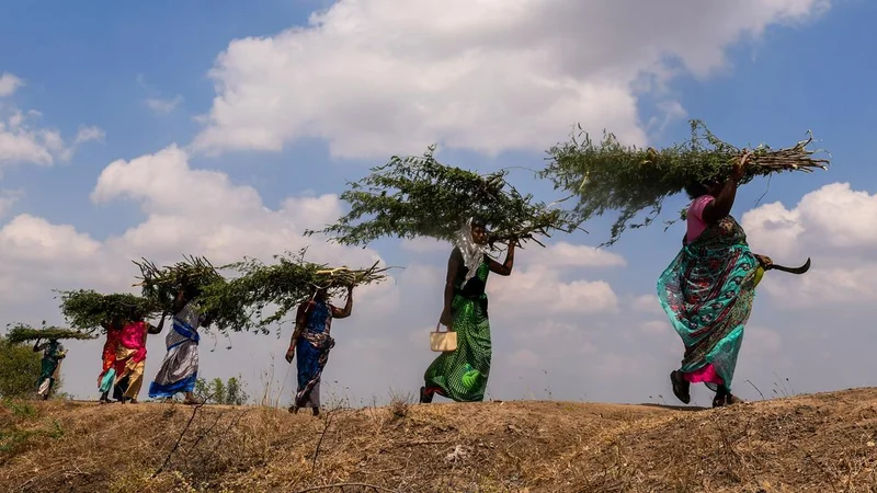 Congress calls new rural jobs law ‘rozgar chori’ as employment generation falls