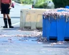 Thousands of pounds of squid spilled on Rhode Island highway – video
