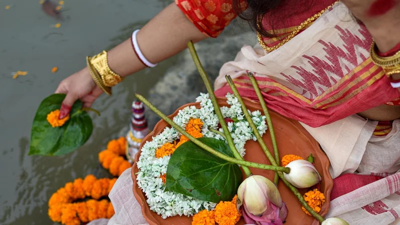 Column by Devdutt Pattanaik | The most Indian leaf is imported