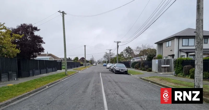 Crossbreed dog that killed Christchurch boy was not known to council