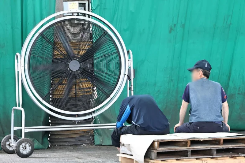 Use fans only when temperatures stay below 40 C: WHO heat wave guidance