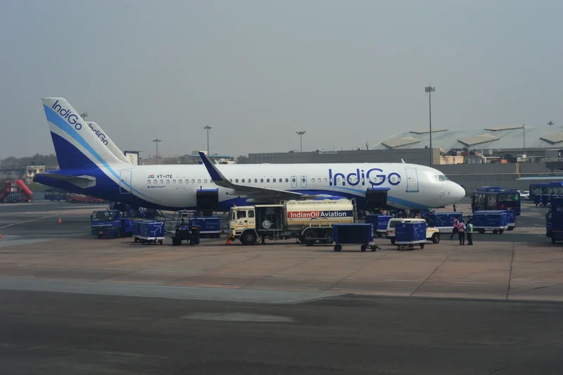 India’s largest airline hit by technical glitch as customers unable to book flights