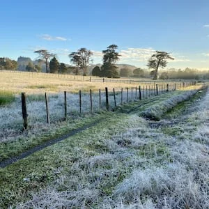 Freezing start across NZ as Mt Cook dips below -9C, winterless north plunges to 0C
