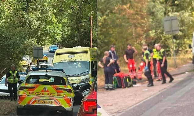 Dog owner held on suspicion of murder is questioned after man, 55, dies from 'being bitten by German Shepherd on footpath'