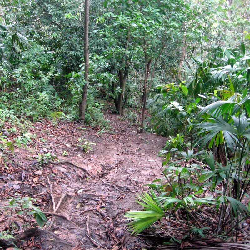 Panama Launches ‘Steel Shield’ to Lock Down Its Darien Border