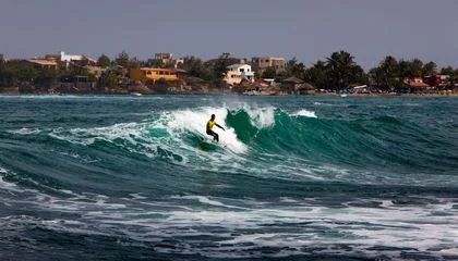 Big Waves Meet Biodiversity: Why Surfing Paradises Could Offer a Key Opportunity for Marine Conservation