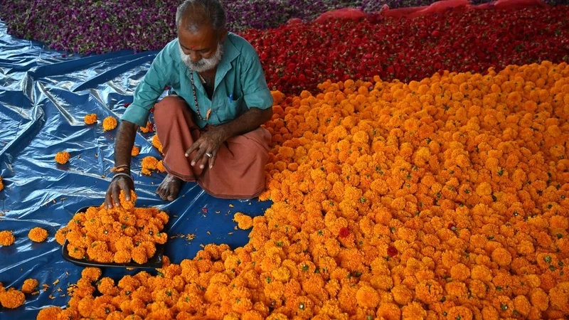 Shadow of price rise looms over Onam Pookkalam