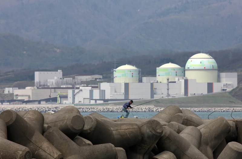 Japanese nuclear power plant death threatens to delay restart