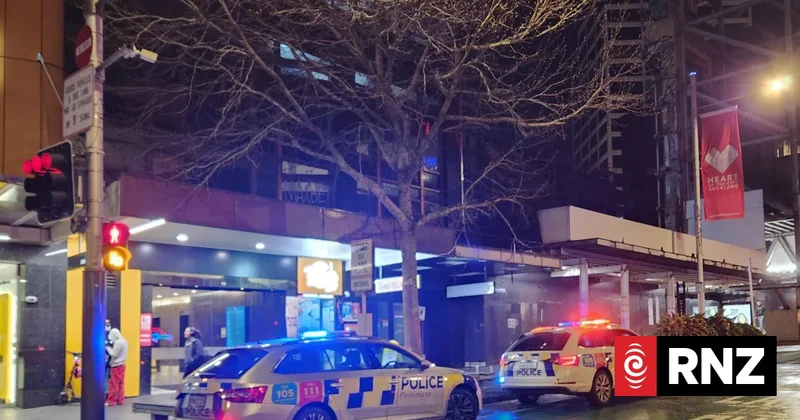 Two in hospital after fight in central Auckland