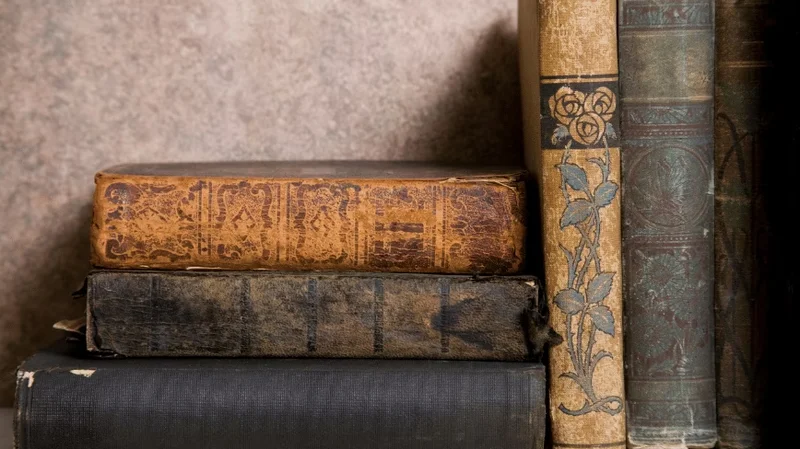 Booksellers fear their rarest books are being pulped to feed AI. The trail leads to a ‘recycler’.