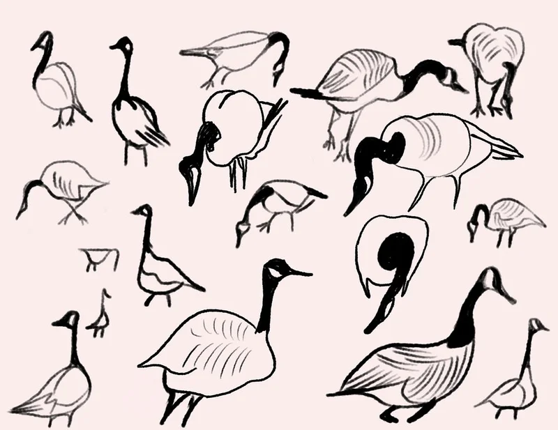 Rethinking design leadership with swarms and flocks