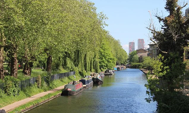 Boy, 12, drowns in River Lea near east London's Hackney Marshes