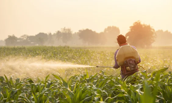 Pesticide Exposure at Work May Increase Motor Neurone Disease Risk