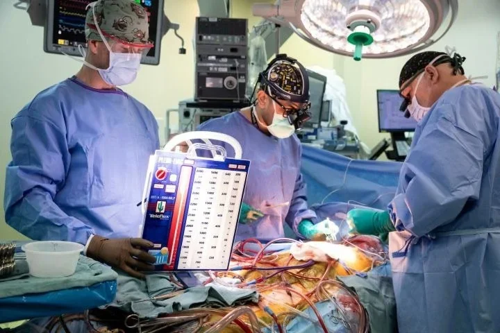 Molecular mapping reveals hidden cellular programs in heart transplant rejection