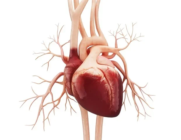GLP-1 drug tirzepatide associated with lower risk of major cardiovascular events