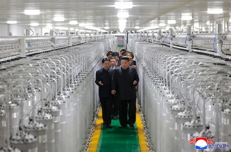 N. Korea warns of bolstering nuclear deterrent over US' new nuclear strategy