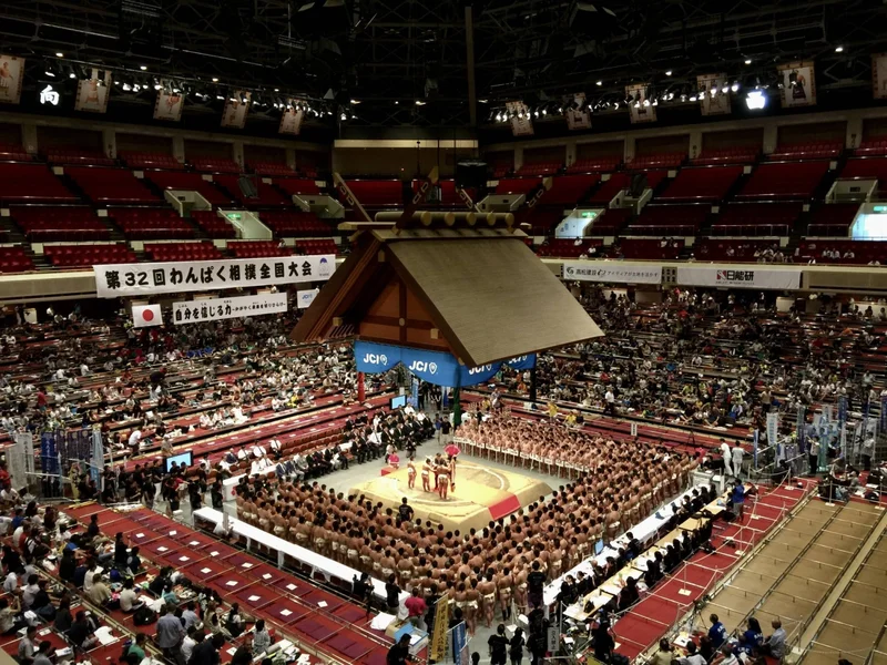 The hidden details that shape professional sumo