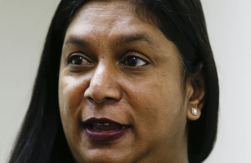 MADLANGA COMMISSION ANALYSIS: Andrea Johnson’s ‘Project Diversion’ a personal project against top cops, inquiry told