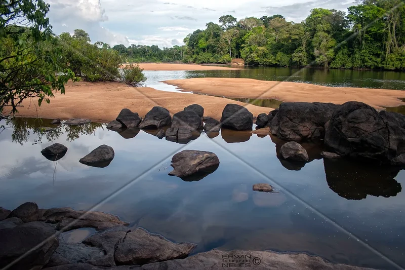 Suriname Moves to Evict Mennonite Settlers From Its Rainforest Interior