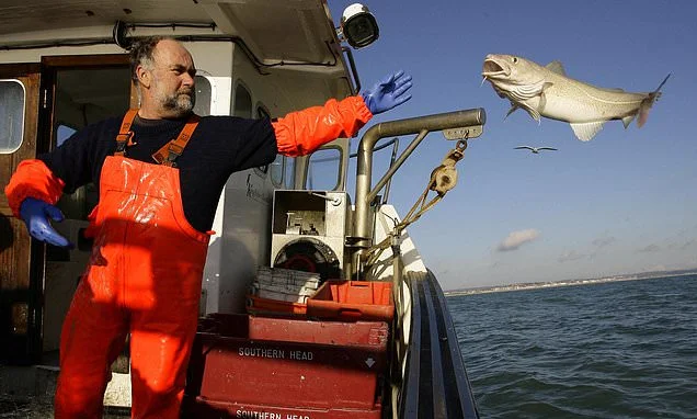 The end of haddock and chips? Britain's fish stocks face COLLAPSE as trawlers illegally dump six times more fish than they bring ashore, scientists warn