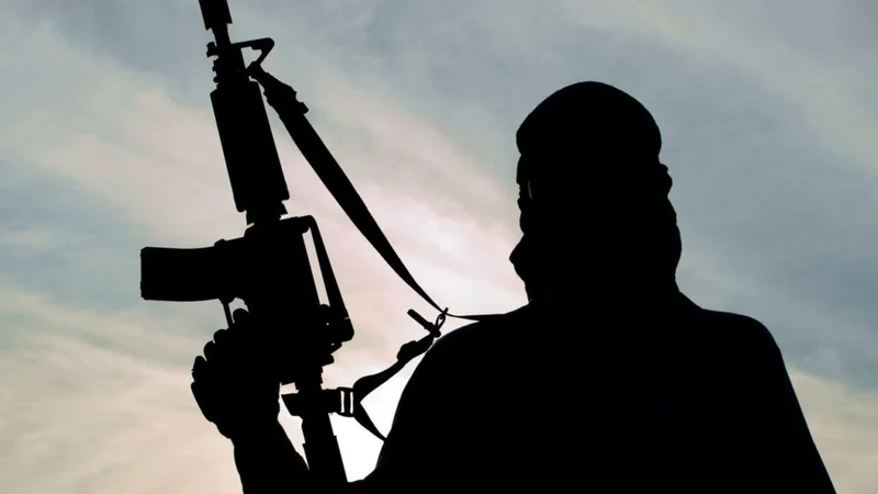 Suspected bandit threatens to destroy Niger-Kebbi border communities [VIDEO]