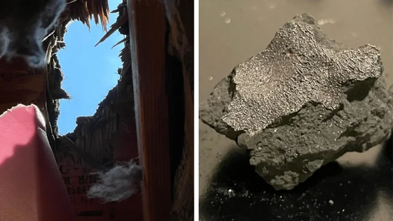 Meteorite that smashed through a New Jersey roof reveals clues to life’s origins
