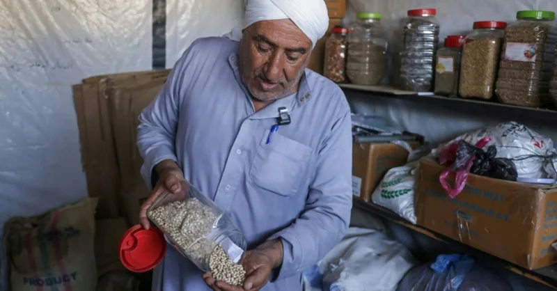 'Ray of hope': Gaza seed bank rebuilds after wartime destruction