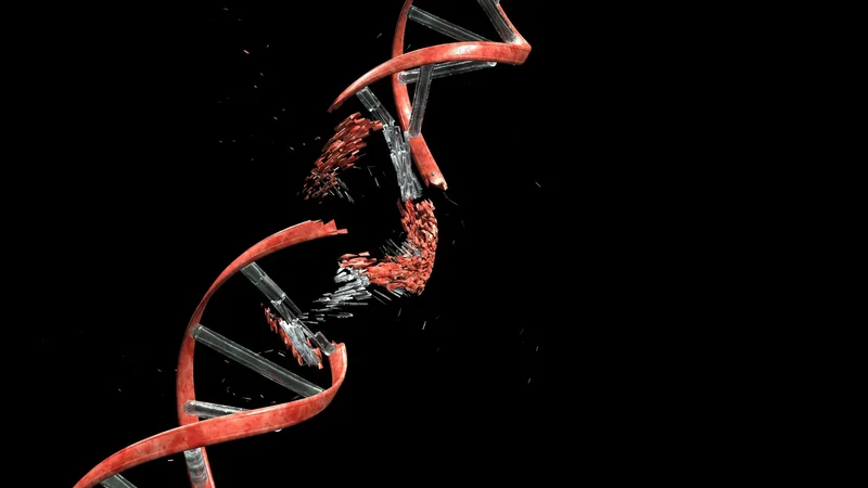 Cancer may be breaking its own DNA to keep growing