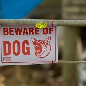 Letters: Rod Liddell’s satire needed no label; dog owners and the law; and happy tax