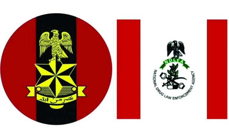 NDLEA, Army raid Edo drug hub, seize 604.5kg skunk