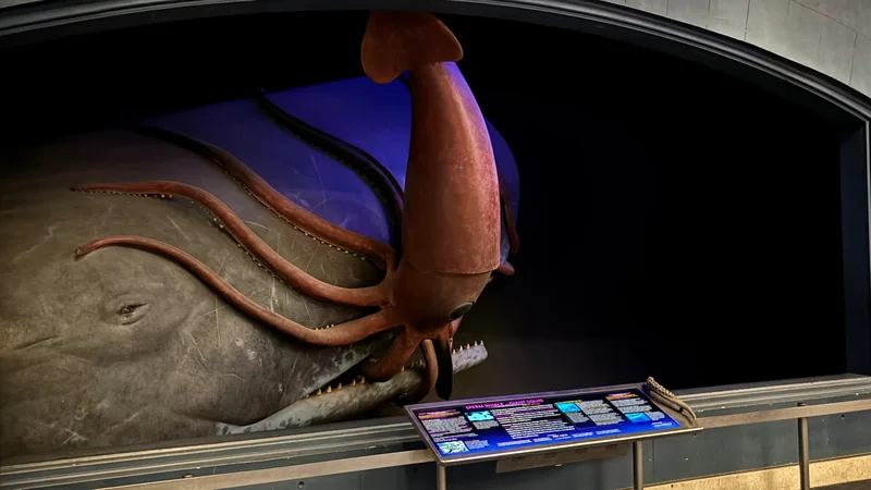 How one of the American Museum of Natural History’s most terrifying dioramas get clean