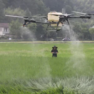Drone rule changes could cause spray mayhem, aviation group says, but Govt says red tape must be cut