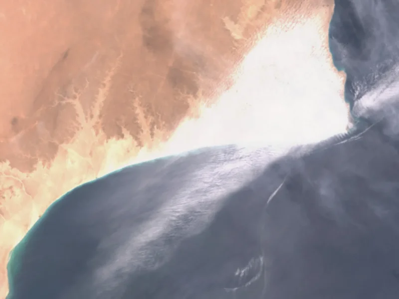 Oman says massive oil spill reaches coastline: What damage could it do?