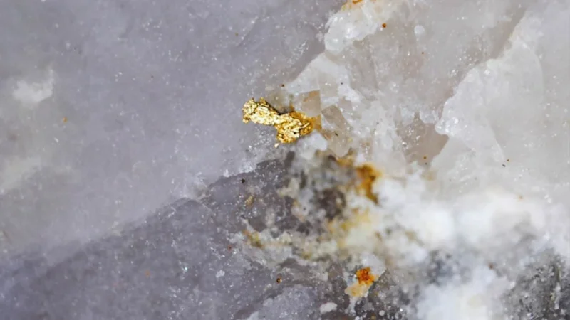 Aureka hits visible gold in new Vic zone