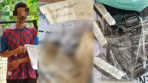 Talisay City murder: Bones, drugs, firearms found in suspect’s home