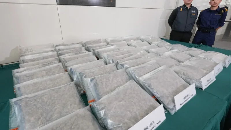 Hong Kong customs arrests 10 over HK$56 million cannabis haul bound for Europe, Africa