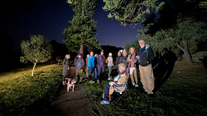 Fremantle hits pause after residents protest plans to remove two dozen trees at popular park