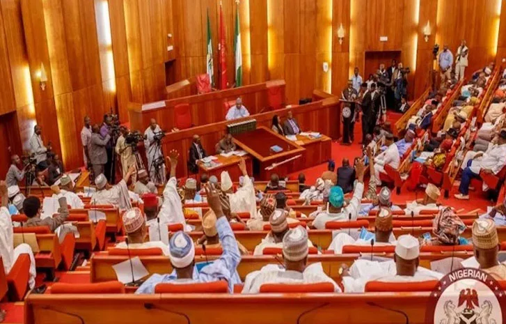 Northern senators demand immediate state police after Adamawa, Sokoto terror attacks