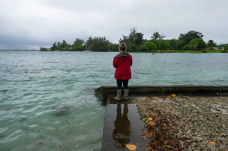 Hawaii's Big Island under rare hurricane landfall threat as Tropical Storm Lala strengthens