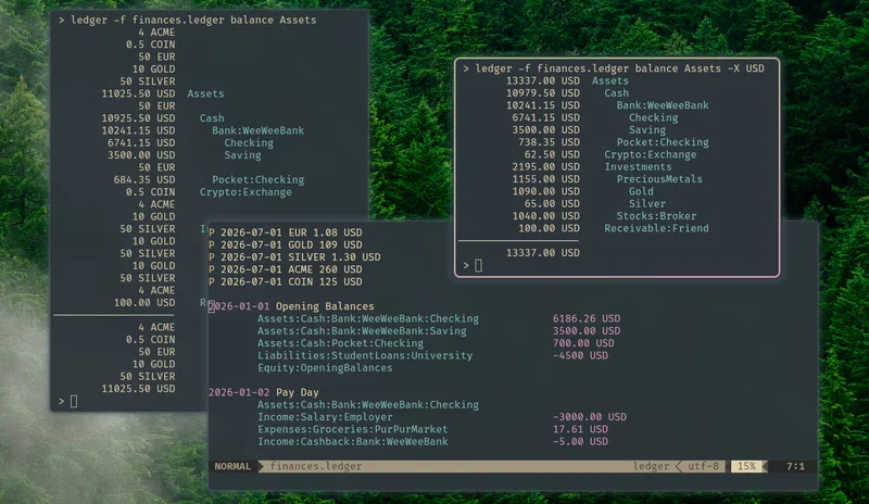 Ledger CLI: Plain Text Accounting