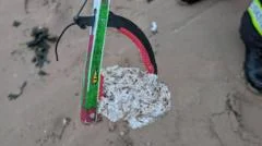 Dog warning as suspected palm oil washes up on beach