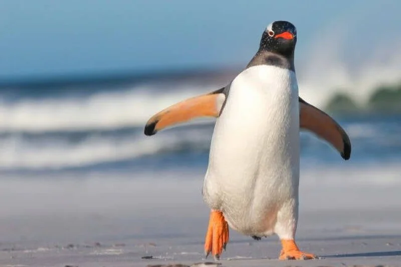 Linus Torvalds says AI has made 'huge' Linux kernel updates the new normal