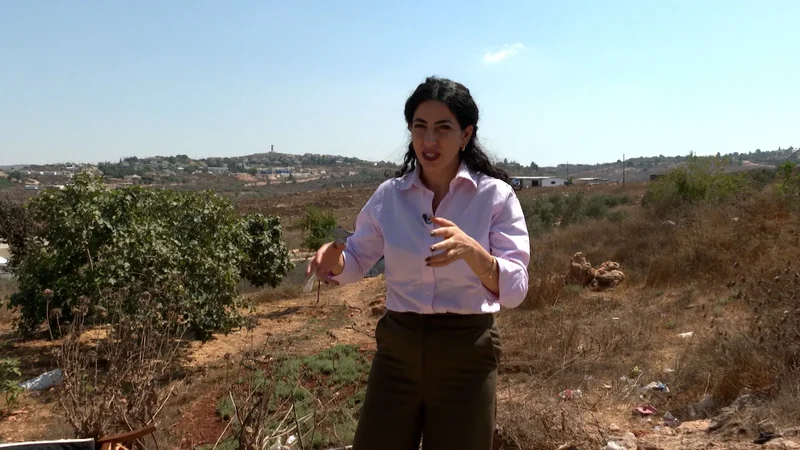 Settlers target Palestinian homes in Occupied West Bank’s Area B