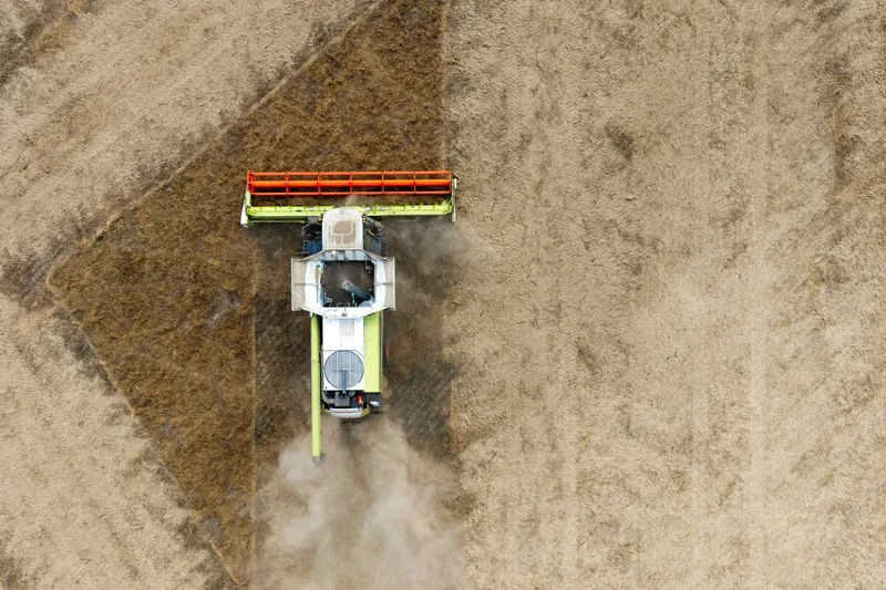 UK farming not prepared for threat of new diseases amid changing weather