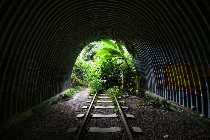 ‘Nothing is cast in stone’: MPs pledge to raise concerns on Maju Forest, Gillman Barracks