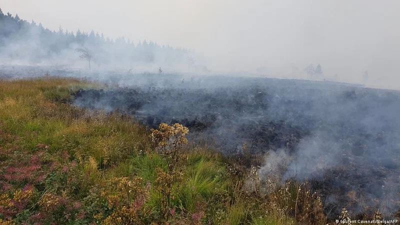 Belgium: Hundreds evacuated as firefighters battle largest wildfire on record
