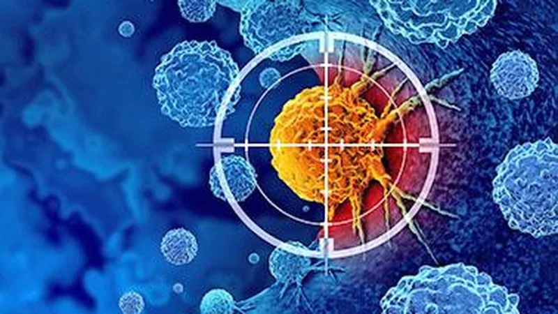 Three common medicines have been declared carcinogenic. What does this mean for patients? | In Focus podcast