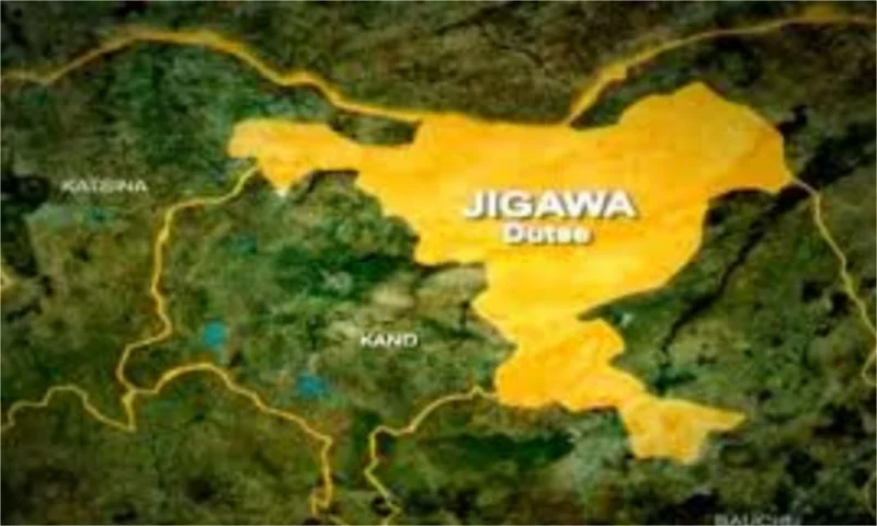 Cataract leading cause of blindness in Jigawa – Survey
